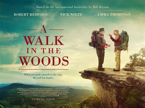 netflix a walk in the woods|a walk in the woods review.